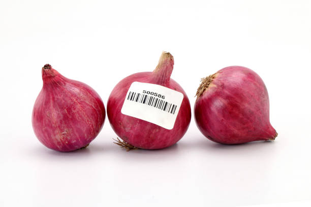 Top 6 Onion Suppliers in France in Quarter 3 of 2025