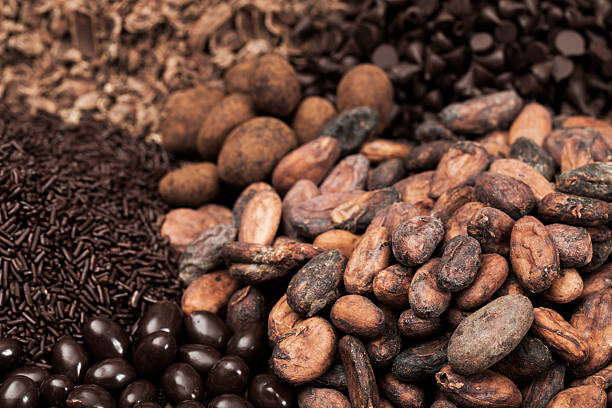 Top 3 Chocolate Suppliers in France in Year 2025