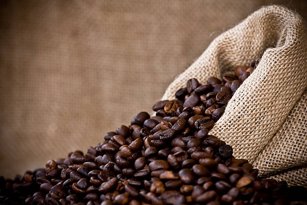 Top 10 Coffee Suppliers in Vietnam in Quarter 3 of 2025: Navigating a Surging Market