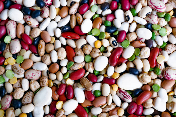 Top 6 Beans Suppliers in Pakistan in July 2025: Navigating a Rapidly Evolving Market