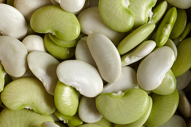 A Comprehensive Guide to Sourcing High-Quality Beans: Top 10 Beans Suppliers in Vietnam in Year 2025