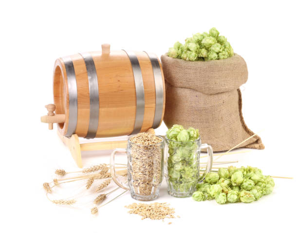 Top 6 Beer Suppliers in Vietnam in July 2025 – Market Trends, News & Strategic Sourcing Insights