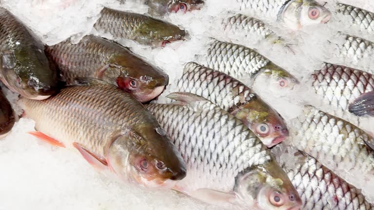 Your Expert Guide to Procuring Top-Tier Fish: Top 8 Fish Suppliers in Austria in Quarter 3 of 2025