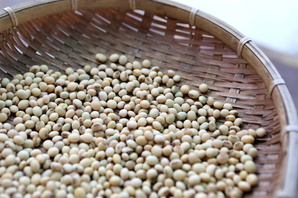 Top 4 Soybean Suppliers in Germany in Week 10 of 2025