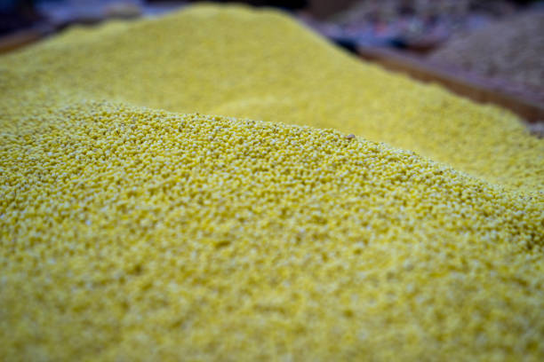Your Expert Guide to Procuring Top-Tier Millet: Top 8 Millet Suppliers in Poland in May 2025