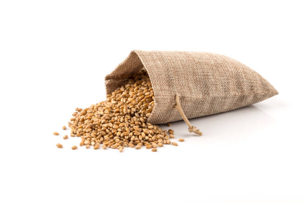 Top 10 Wheat Suppliers in United States in Quarter 3 of 2025: A Timely Update Amid Market Shifts