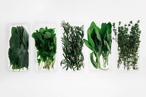 Top 10 Herbs Suppliers in United States in Year 2025