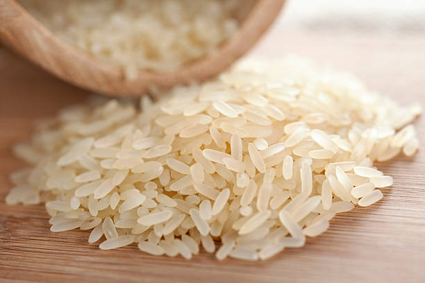 Urgent Update: Rice Market in Italy Faces Turbulence – Top 3 Rice Suppliers in Italy in Year 2025
