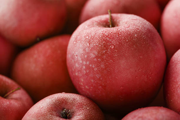 Top 5 Apple Suppliers in Belgium in Year 2025: A Fresh Look at the Apple Market
