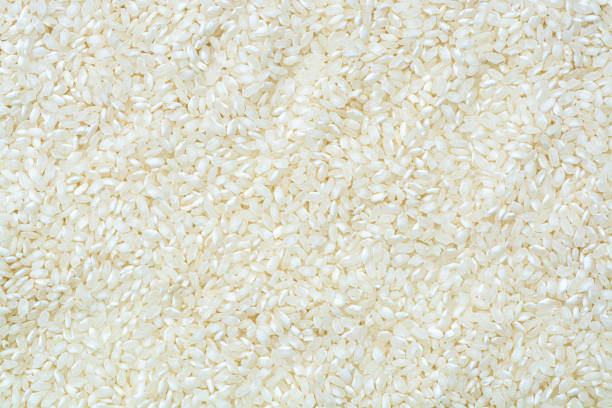 Top 9 Rice Suppliers in Indonesia in Quarter 2 of 2025: A Critical Market Update