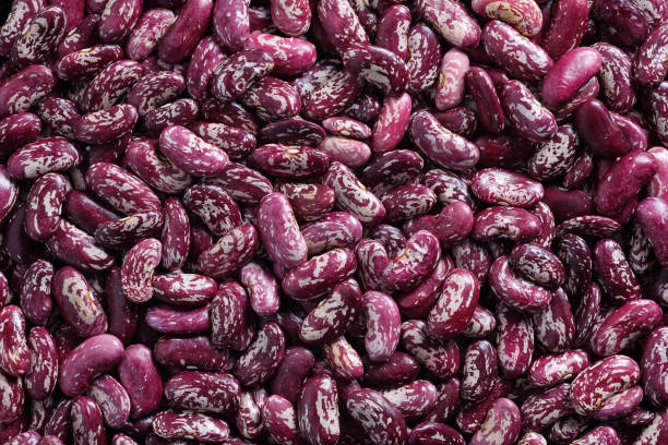 Top 10 Beans Suppliers in China in Year 2025: Market Trends, Supplier Insights & Strategic Outlook