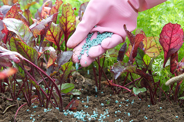 Top 5 Fertilizers Suppliers in India in June 2025
