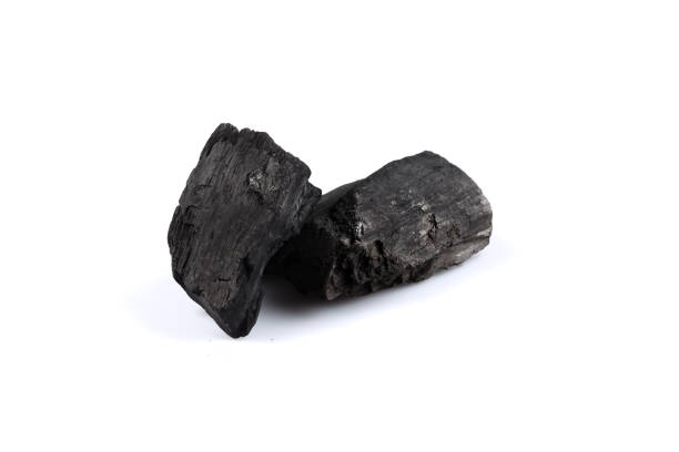Top 9 Charcoal Suppliers in Canada in Quarter 2 of 2025