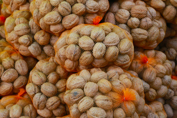 Urgent Market Update: Top 10 Nut Suppliers in United States in Year 2025