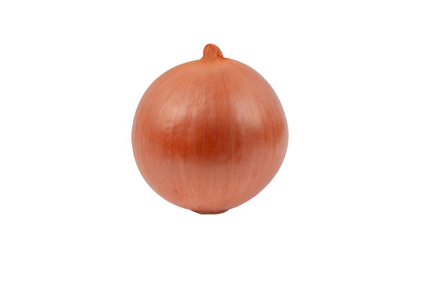 Top 7 Onion Suppliers in Thailand in Week 14 of 2025
