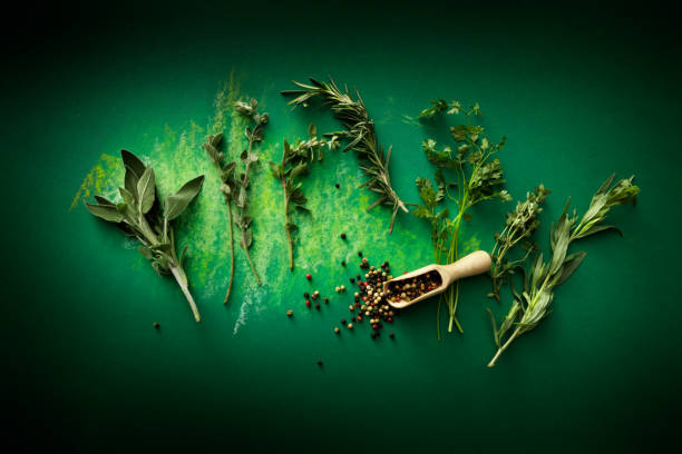 A Comprehensive Guide to Sourcing High-Quality Herbs: Top 8 Herbs Suppliers in Spain in Year 2025