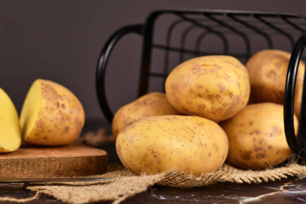 Your Expert Guide to Procuring Top-Tier Fresh Potato: Top 4 Fresh Potato Suppliers in China in Year 2025