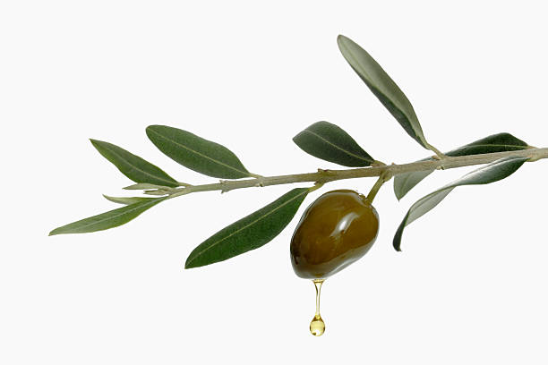 Top 3 Olive Oil Suppliers in Canada in Quarter 3 of 2025: A Data-Driven Export Market Analysis