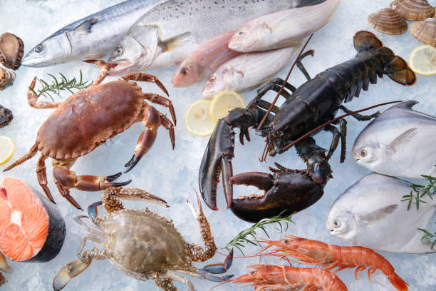 Top 5 Seafood Suppliers in India in Week 09 of 2025: Market Trends, Policy Updates & Strategic Buyer Insights