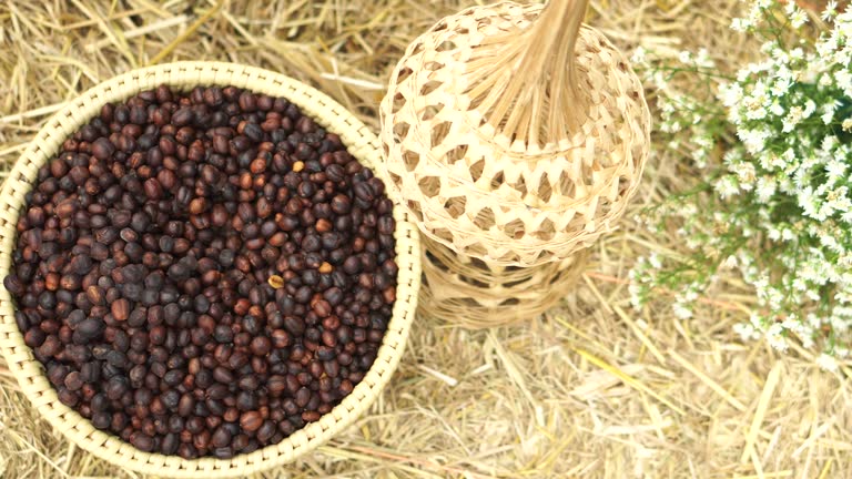 A Comprehensive Guide to Sourcing High-Quality Coffee Bean: Top 6 Coffee Bean Suppliers in India in Week 18 of 2025