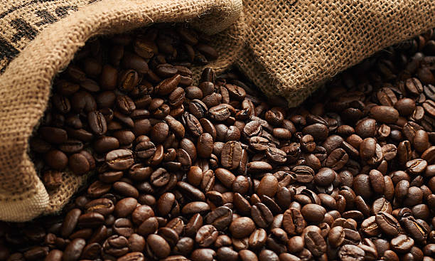 Top 7 Coffee Bean Suppliers in Germany in Invalid Period