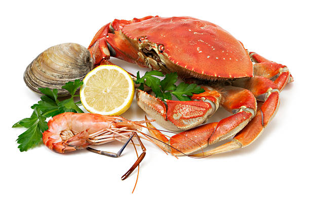 A Comprehensive Guide to Sourcing High-Quality Seafood: Top 7 Seafood Suppliers in Global in July 2025