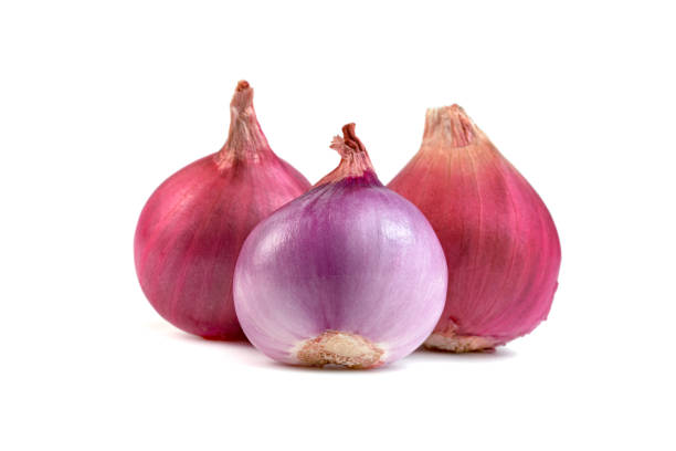 Top 4 Onion Suppliers in Vietnam in Year 2025 – A Deep Dive into Vietnam’s Onion Export Market