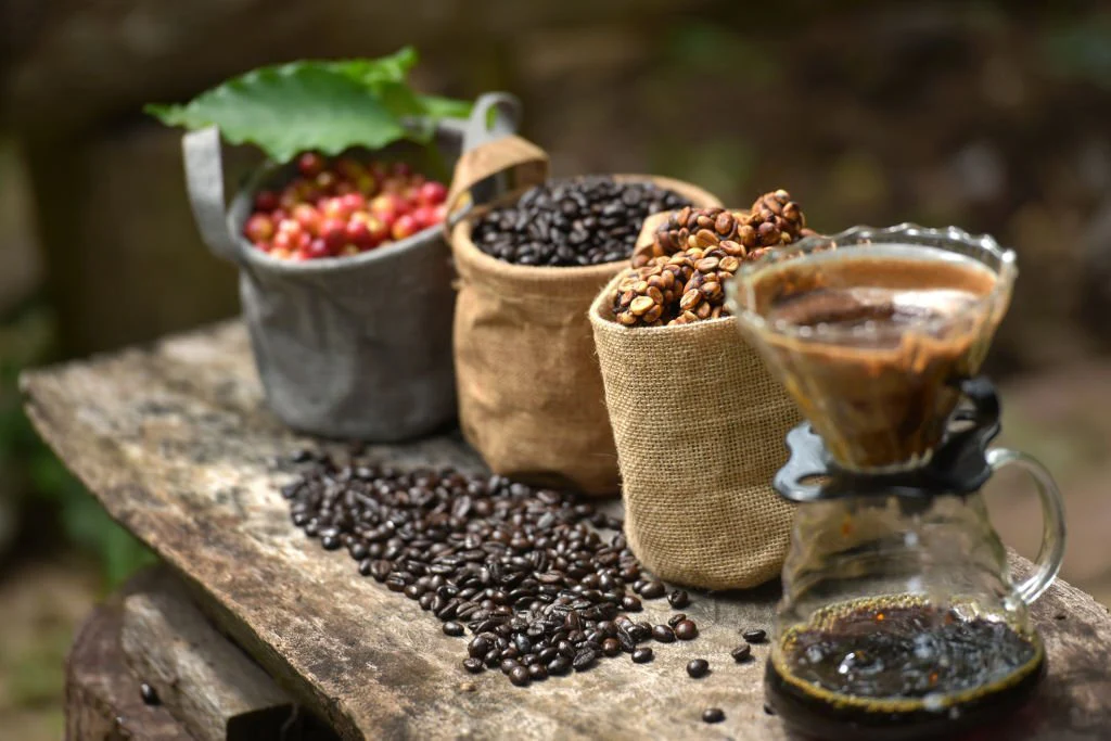 Global Organic Coffee Market: A Sustainable Opportunity for B2B Buyers (P2)