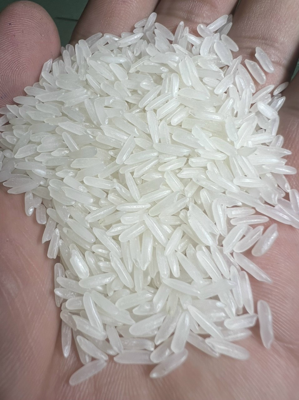 kdm-rice Famous Delicious and High-Yield Rice Varieties in Southeast Asia