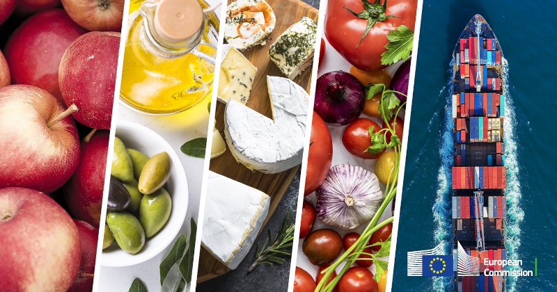 Trading in Agricultural Products: Global B2B’s Most Critical Concerns from Buyers and Suppliers
