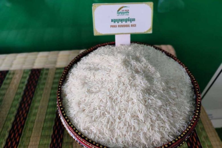 phka_rumduol_is_a_type_of_long-grain_jasmine_rice_that_has_emerged_as_a_top_choice_of_international_buyers._fresh_news Famous Delicious and High-Yield Rice Varieties in Southeast Asia