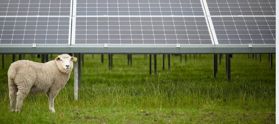 The Challenge of Innovation on the Farm