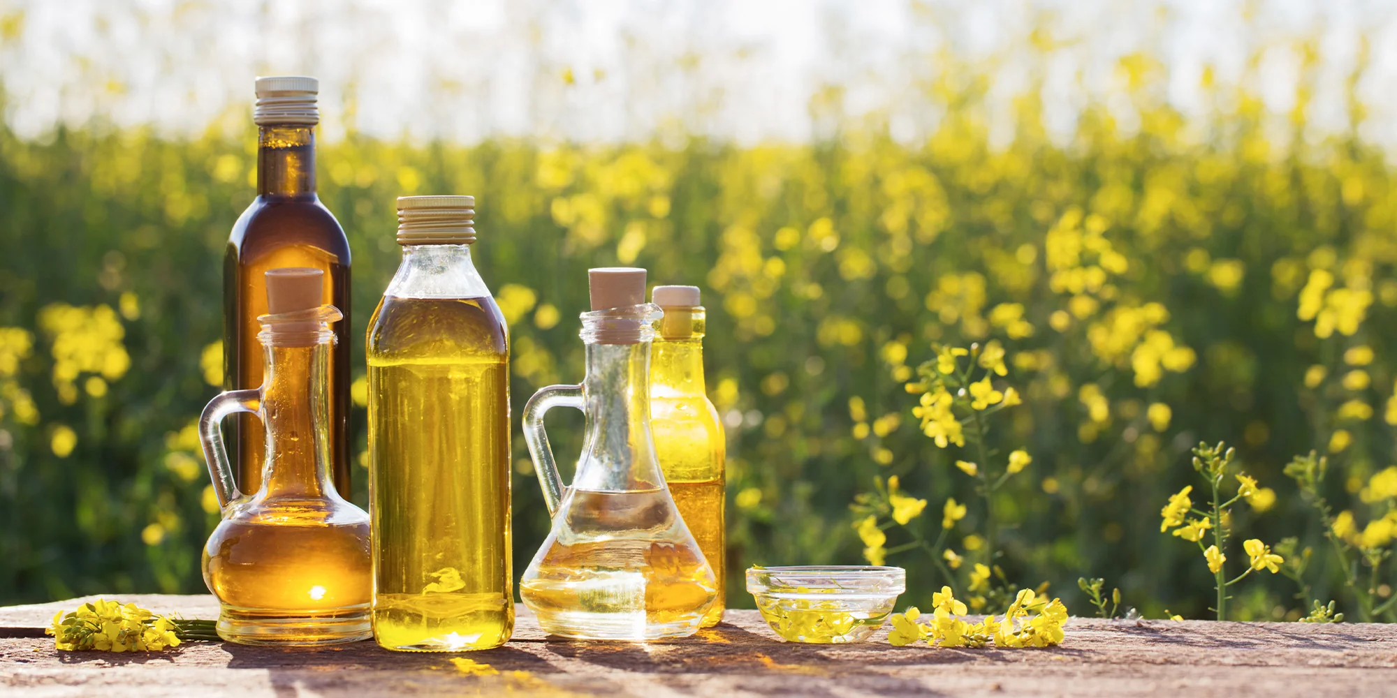 Oil-2000px Oil Extraction Methods From Ancient Wisdom to Modern Innovation