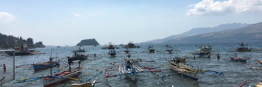 🌊 Puchipal Ltd – Japan’s Premium Frozen Seafood Exporter with 20+ Years of Global Trust