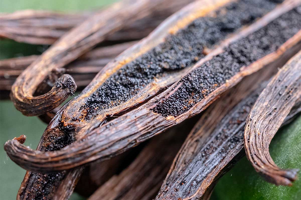 The-Luxury-of-Vanilla Vanilla Beans The Liquid Gold Facing Climate Crisis and Market Turbulence