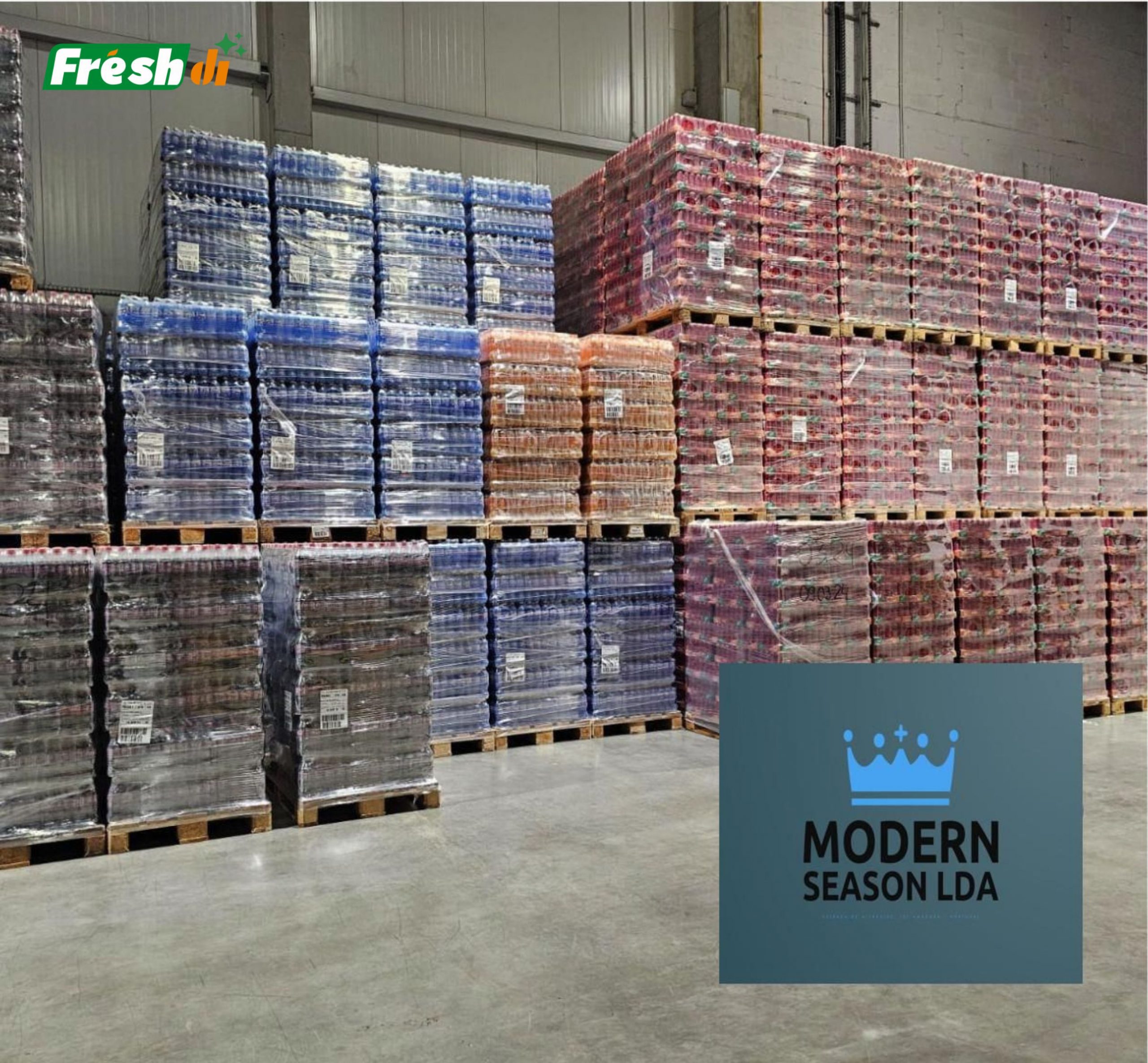 🫒 Modern Season LDA – Portugal’s Verified Food & Beverage Exporter Expanding on Freshdi