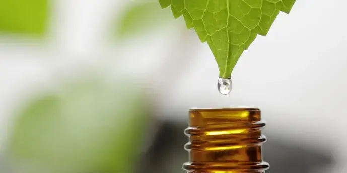 Oil Extraction Methods From Ancient Wisdom to Modern Innovation