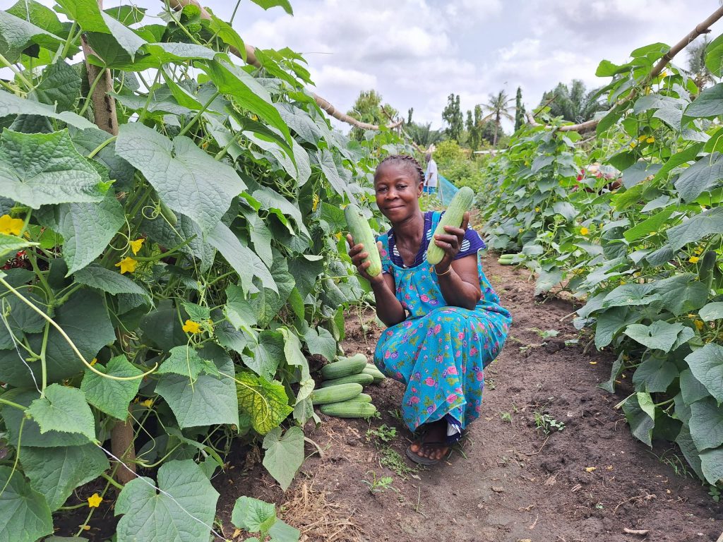 WhatsApp-Image-2024-04-12-at-14.02.56-1024x768-1 Ghana’s Agriculture Processed Products: Trends, Opportunities and Market Leaders