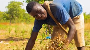 Ghana’s Agriculture Processed Products: Trends, Opportunities and Market Leaders