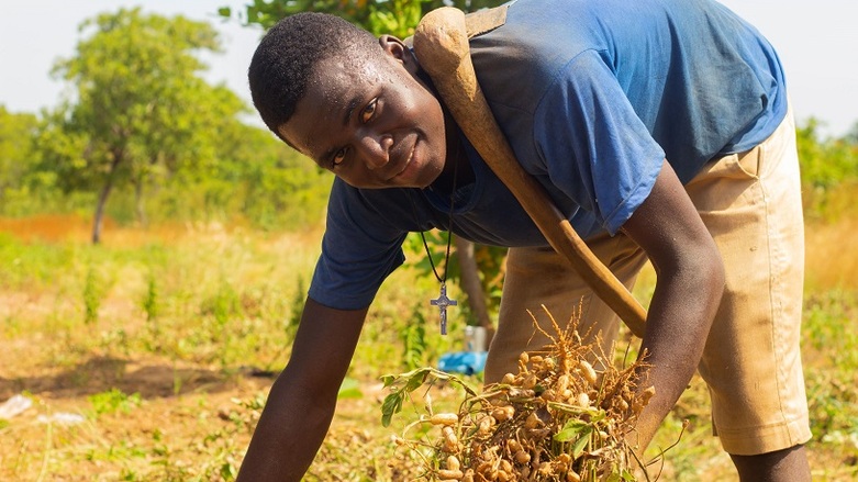 Ghana’s Agriculture Processed Products: Trends, Opportunities and Market Leaders