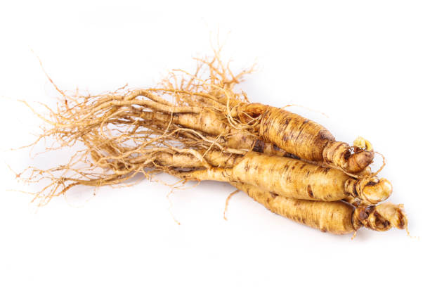 A Comprehensive Guide to Sourcing High-Quality Ginseng: Top 5 Ginseng Suppliers in India in Quarter 3 of 2025