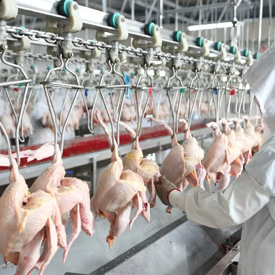 image-13 Middle East Processed Meat Products Market: Complete Strategic Analysis for Q2 2025 & Beyond