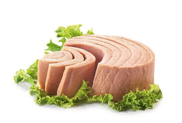 Top 4 Tuna Suppliers in China in July 2025: A Data-Driven Guide for Global Buyers