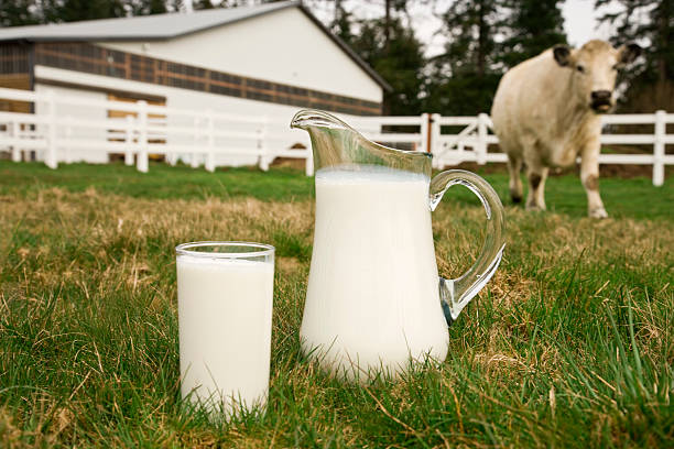Top 7 Milk Suppliers in South Africa in July 2025: Navigating a Fast-Changing Market