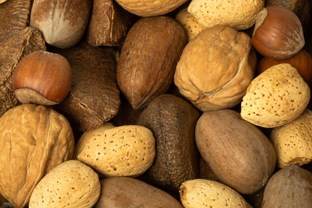 Top 9 Nut Suppliers in Poland in Year 2025