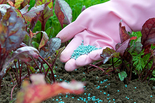 A Comprehensive Guide to Sourcing High-Quality Fertilizer: Top 3 Fertilizer Suppliers in Turkey in Year 2025