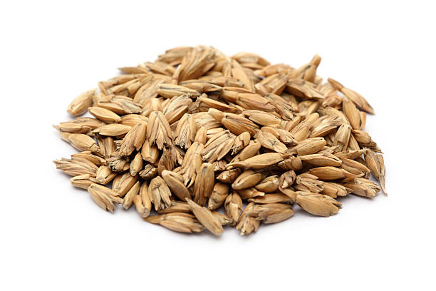 Top 5 Barley Suppliers in United Kingdom in July 2025