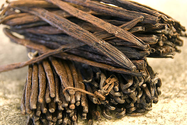 Top 8 Vanilla Suppliers in France in Quarter 3 of 2025