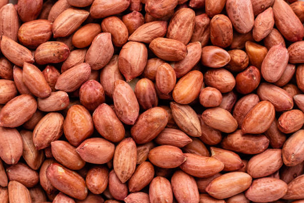 Top 7 Peanuts Suppliers in Indonesia in Year 2025