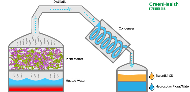 image-3 Oil Extraction Methods From Ancient Wisdom to Modern Innovation